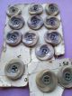 Vintage Buttons From Corozo/very For Your Project Buttons photo 2