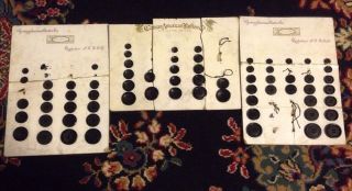 Antique Buttons Black Vegetable Ivory German American Button Co C 1900 Rare photo