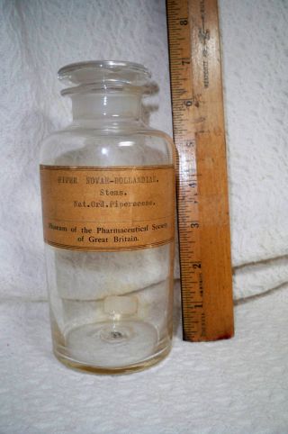 Antique Pharmaceutical Bottle Museum Society Of Great Britain W/label/stopper photo