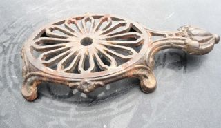 Antique Cast Iron Turtle Trivet - Great Detail - Hard To Find photo