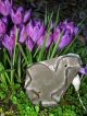 Lovely & Quite Primitive Tin Cookie Cutter Duck Aafa Americana Hand Soldered Primitives photo 10