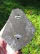 Lovely & Quite Primitive Tin Cookie Cutter Duck Aafa Americana Hand Soldered Primitives photo 7