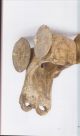 Near Eastern Terracotta Models & Figurines Klat Collection Euphrates Ancient Art Near Eastern photo 6
