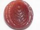 Antique Early Molded Plastic Buttons Buttons photo 4