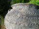 Ancient Chinese Jar Pot Han Or Chou Dynasty? Burrial? Old Collection Pots photo 5