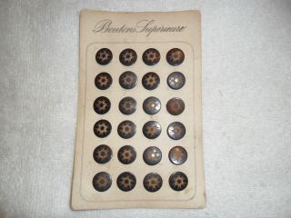 24 Vintage French Carved Buttons 