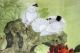 52x25inch - Oriental Asian Art Chinese Painting - Dove Bird Flower Blossom Paintings & Scrolls photo 1