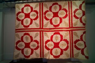 Early Antique Applique Quilt Handquilted Southern Primitive Beauty C1870 - 1890 photo
