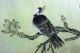 Oriental Asian Art Chinese Painting 