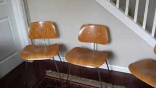 Eames Plywood Chairs And Table 4 Chairs And 2 Lounge Chairs W/table photo