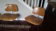 Eames Plywood Chairs And Table 4 Chairs And 2 Lounge Chairs W/table Mid-Century Modernism photo 1