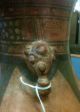 Inca Treadures Ltd Pre Columbian Nicoyan Vessel,  Pottery,  Artifact,  Relic,  Coa The Americas photo 3