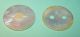 - 2 Antique Large Mother Of Pearl - Shell Buttons - Both Different - Sew - Craft - Art Buttons photo 2