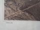 Antique 1870 Ca Lithograph Usgs Geological Survey Jackson Mine Art Print J.  Bien Mining photo 7