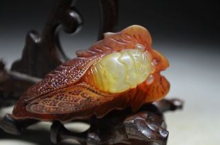 Delicate Chinese Classical Xiu Jade Carved Pendant - Cicada & H S Culture 1282 photo