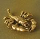 Wealth Scorpion Rich Lucky Good Business Sacred Charm Thai Amulet Amulets photo 2