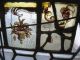 Antique 19th Cent Gothic Revival Period Leaded Stain Glass Window W Family Crest Pre-1900 photo 6