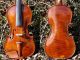 Very Fine Antique Czech Violin By Ladislav F.  Prokop,  Chrudim,  1929 String photo 10