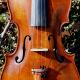 Very Fine Antique Czech Violin By Ladislav F.  Prokop,  Chrudim,  1929 String photo 5
