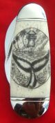 Scrimshaw By Shar,  Tall Ship,  Whales,  Lighthouse,  Folding Knife/knives Scrimshaws photo 1