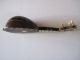 Vintage:miniature Mandolin Tortoiseshell Mother Of Pearl Bone - Tigerwood Inlays String photo 4