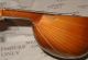 Very Interesting German Bowl Mandolin Superton Sing - Plays And Sounds Good String photo 9