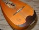 Very Interesting German Bowl Mandolin Superton Sing - Plays And Sounds Good String photo 2