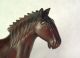 Unusual Old Chinese Oriental Carved Mahogany Wood Horse On Stand,  Glass Eyes Horses photo 3
