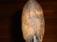 Antique Primitive African Knobkerrie W/axe - Tribal Weapon/lhunting - 26 Inches Other photo 9