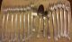 17 Pcs Community Plate Seafood Fork And Spoons Flatware & Silverware photo 1
