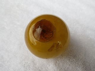 (1110) 2.  22 Inch Diameter Japanese Curio Glass Float Ball Buoy photo