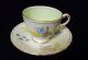 Vintage Delphine English Bone China Teacup & Saucer Chinese Motif - Pale Green Cups & Saucers photo 1