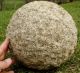 Stone Ball,  Gigantic Ceremonial; Moundbuilder: 19th C. ,  Near Brookport,  Illinois Native American photo 1
