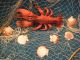 6 ' X 8 ' Fishing Net Sea Shells Starfish Home Decor Lobster,  Ocean Theme Fishing Nets & Floats photo 1