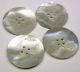 4 Antique Carved Shell Buttons W/ Floral Design Sew Ththrough Buttons photo 1