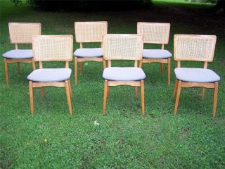 6 Vtg Blonde Caned Back Danish Modern Mid Century Stakmore Chairs Non Folding photo