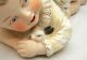 Japanese Export Porcelain Piano Doll Baby - Boy W/ Rabbits Statues photo 6