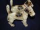 2 Antique Hubley Cast Iron Fox Terrier Dog Sculptures - Excellent Paint Metalware photo 9