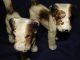 2 Antique Hubley Cast Iron Fox Terrier Dog Sculptures - Excellent Paint Metalware photo 4