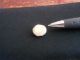 Antique Mother Of Pearl Button Buttons photo 2