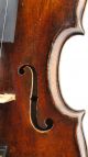 Outstanding Antique 18th Century Violin By George Kloz Mittenwald 1753 String photo 7