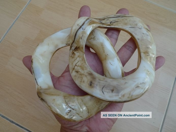 Bracelet Bangle Papua Irian Shell Seashell Native Body Jewelry Jewel Ornament 1 Primitives photo
