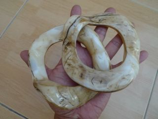 Bracelet Bangle Papua Irian Shell Seashell Native Body Jewelry Jewel Ornament 1 photo
