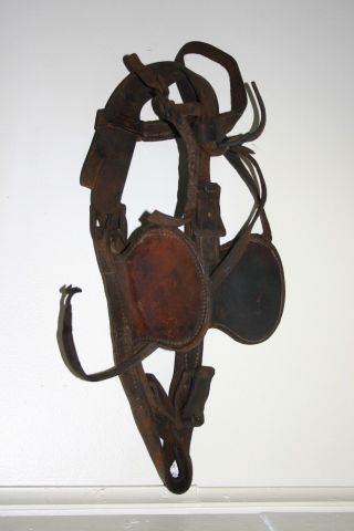 Antique Horse Tackle Bridle With Binders Rustic Western Decor photo