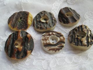 Antique Buttons From Bone Corn Deer/the Are From The Black Forest)) ) photo