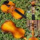 2 Good Vintage Czech 7/8 Violins: 1.  Frantisek Herclik 1922,  2.  Not Labelled String photo 9