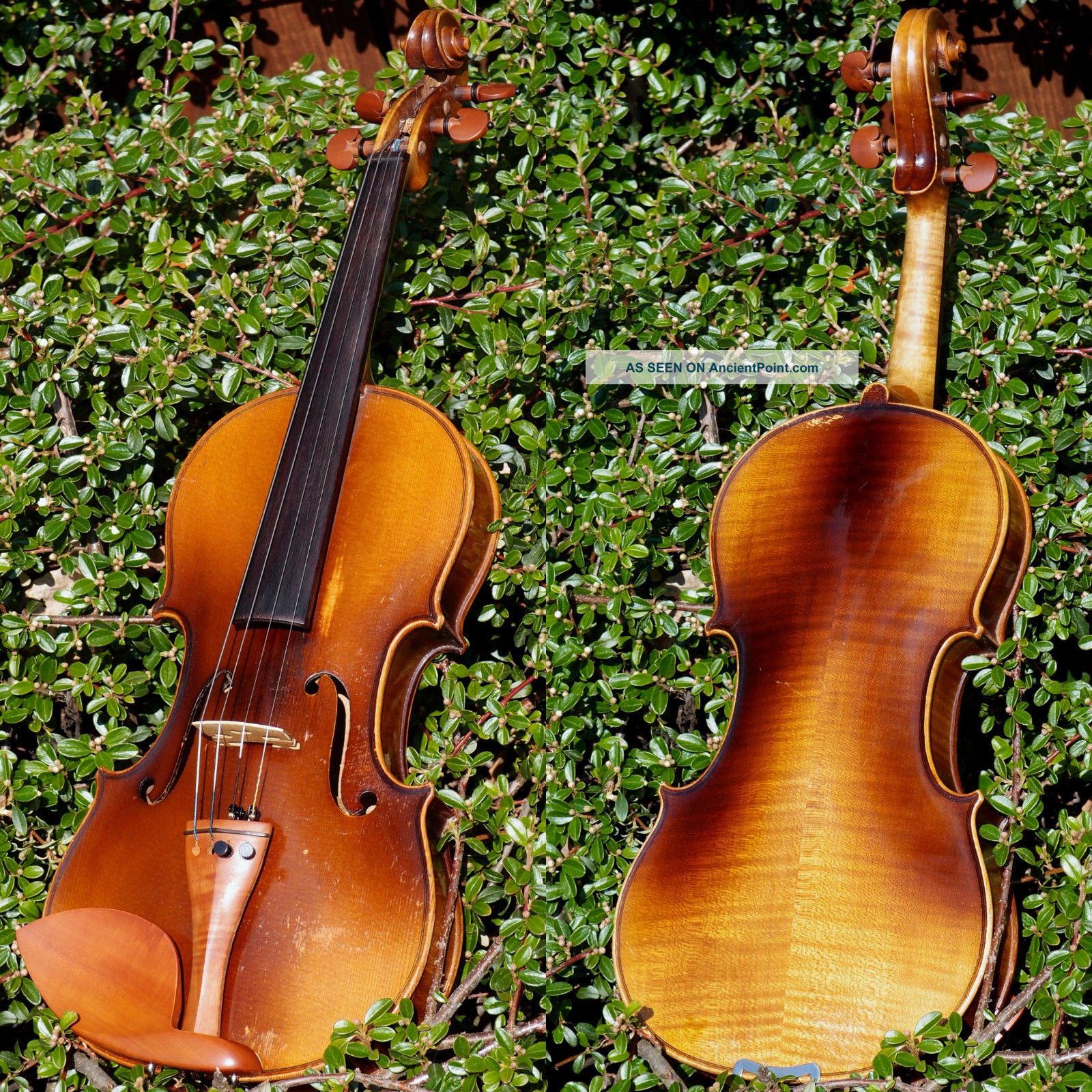 2 Good Vintage Czech 7/8 Violins: 1.  Frantisek Herclik 1922,  2.  Not Labelled String photo