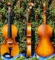 2 Good Vintage Czech 7/8 Violins: 1.  Frantisek Herclik 1922,  2.  Not Labelled String photo 7
