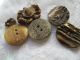 Antique Buttons From Bone Corn Deer/the Are From The Black Forest Buttons photo 1