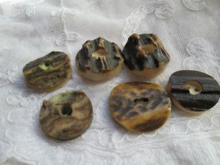 Antique Buttons From Bone Corn Deer/the Are From The Black Forest) photo